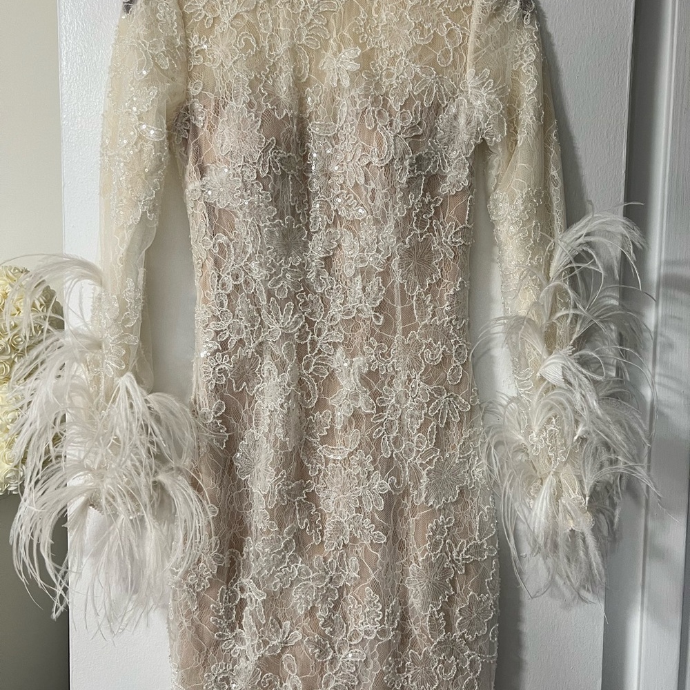 Elegant Lace Feather-Trimmed Dress